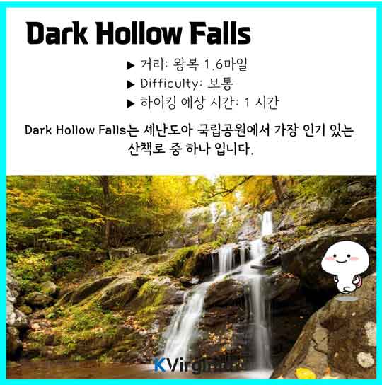 셰난도어 국립공원 Dark Hollow Falls