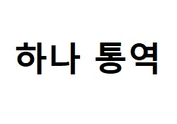 하나 통역