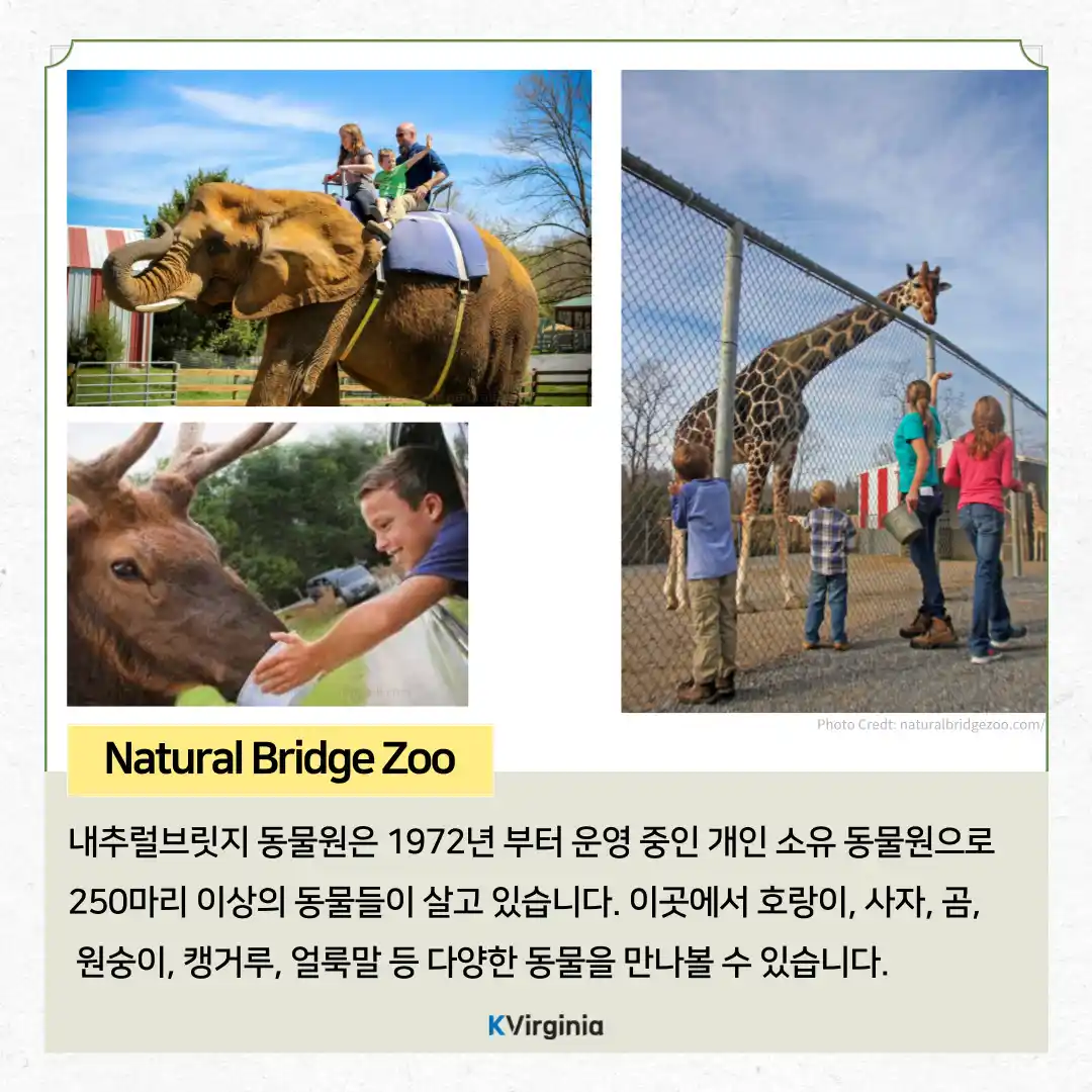 Natural Bridge Zoo