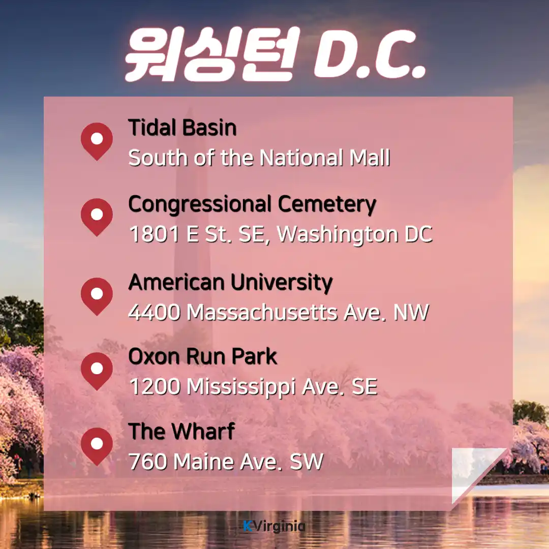 워싱턴DC