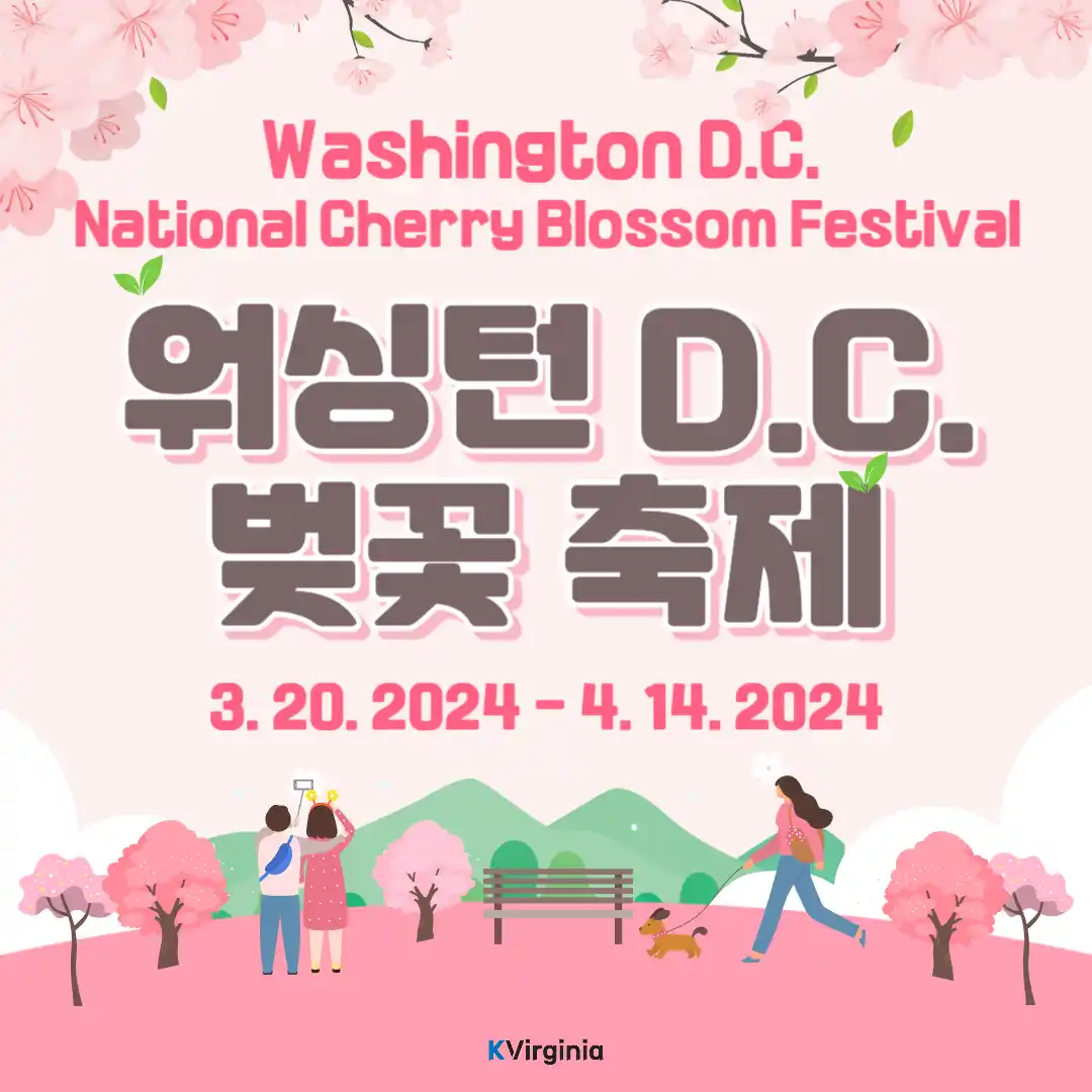 워싱턴DC 벚꽃 축제