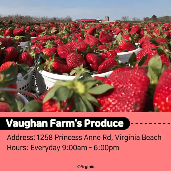 Vaughan Farm's Produce