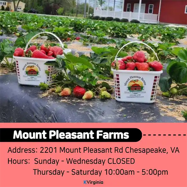 Mount Pleasant Farms