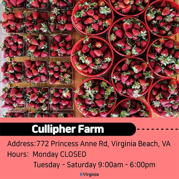 Cullipher Farm