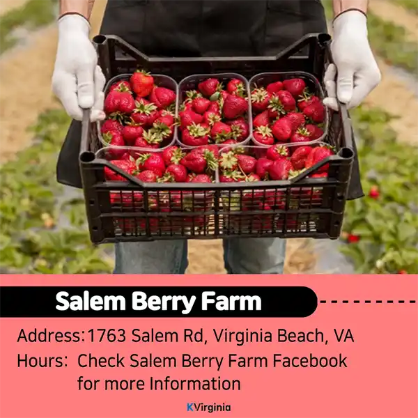 Salem Berry Farm