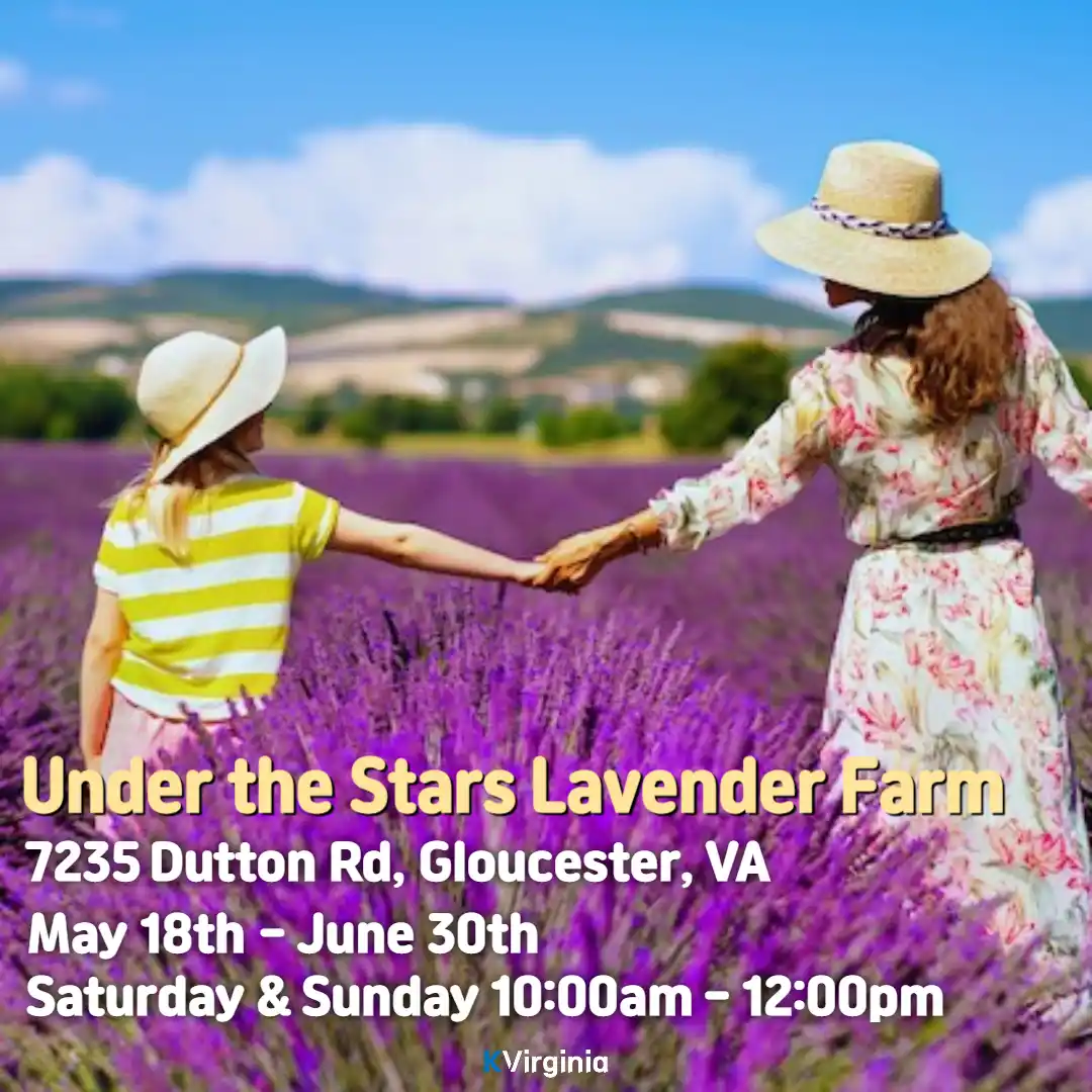 Under the Stars Lavender Farm