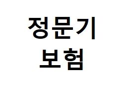 정문기 보험