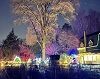 HOLIDAY LIGHTS WALK TO THE NORTH POLE AT WILLOW OAK